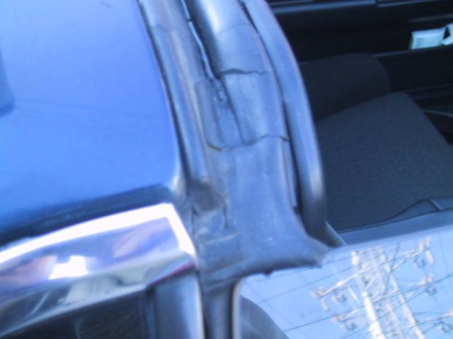 �ʂ肱�ރf�W�J�����\��������