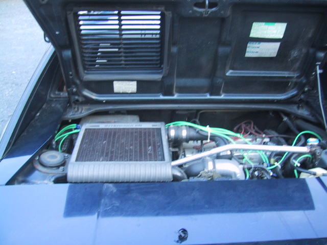 �s���{�P�C���Ȃ̂͂��e��