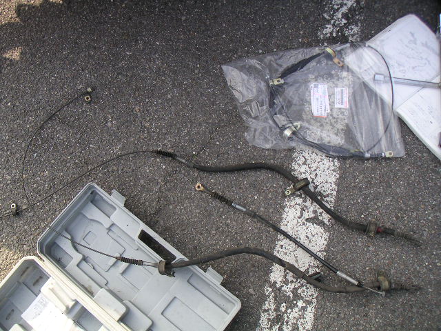 �O���ꂽ���c�A���ꂩ����郄�c