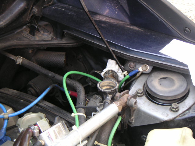 �z�[�X���Ԃ����؂�Ă܂�