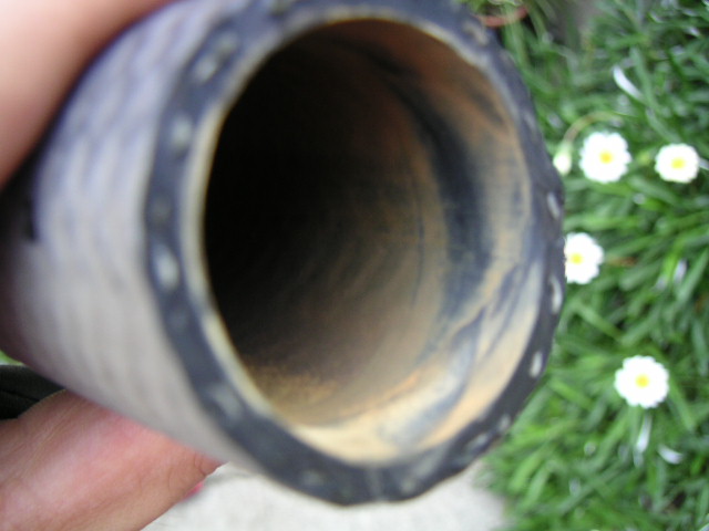 �o������t��